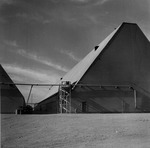 Photograph of peat storage buildings at Basic Magnesium, Inc.