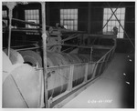 Photograph of ore processing equipment at Basic Magnesium, Inc.