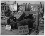 Photograph of the Aviada exhibition at Basic Magnesium, Inc, bombs and gas tank