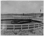 Photograph of the sewage treatment plant at Basic Magnesium, Inc.