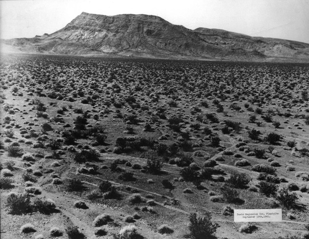 Photograph of the Basic Magnesium, Inc. plant site prior to construction