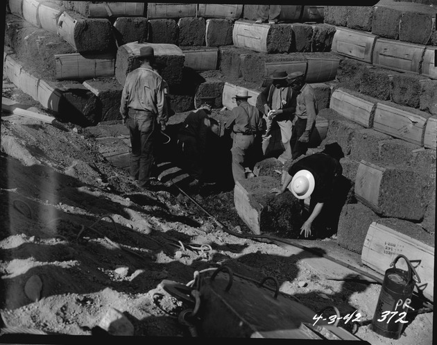 Photograph of peat at Basic Magnesium, Inc.