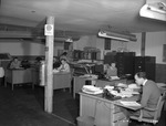 Photograph of office workers at Basic Magnesium, Inc.
