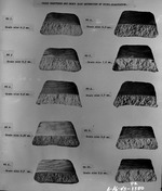 Photograph of ingot fractures and grain size