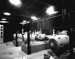 Photograph of chlorine pumps at Basic Magnesium, Inc.