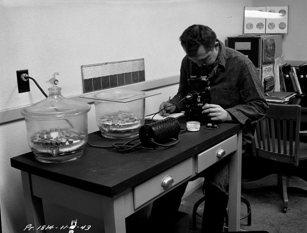 Photograph of a man at work at the Basic Magnesium, Inc. technical laboratory