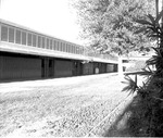 Photograph of lockers at Basic High School, Henderson, May 1, 1964