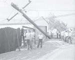 Photograph of a downed telephone pole, Henderson, April 1956