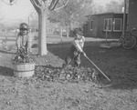 Photograph of boys raking leaves, Henderson, November 1955