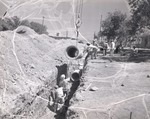 Photograph of new sewer and water lines, Henderson, June 1955