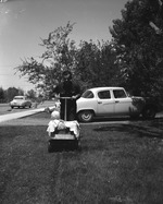 Photograph of a man mowing the lawn with a baby, Henderson, 1957