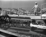 Photograph of a worker at Stauffer Chemical Company, Henderson, 1968