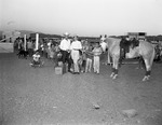 Photograph of a riding and jumping exhibition at Trailer Estates, Henderson, 1963