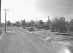 Photograph of townsite homes, Henderson, 1953