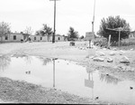 Photograph of a flooded street, Henderson, 1950